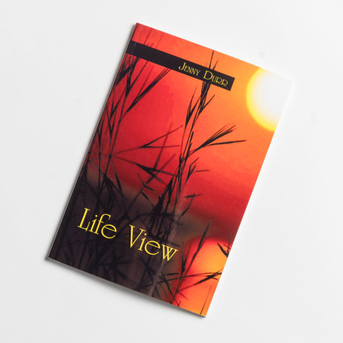 Front cover of book titled "Life View" by writer Jenny Durr.