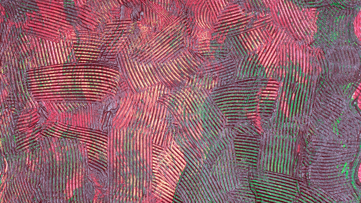 Detail from "A Sand Swimming Tree," an abstract acrylic painting by Nancy Soto.
